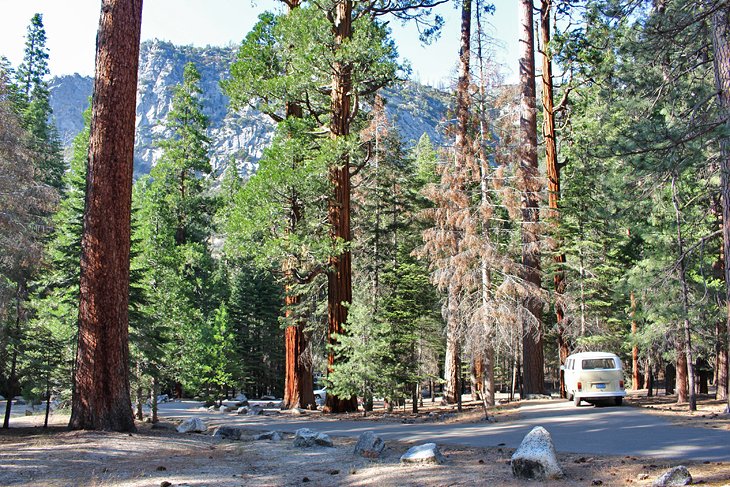 Sheep Creek Campground