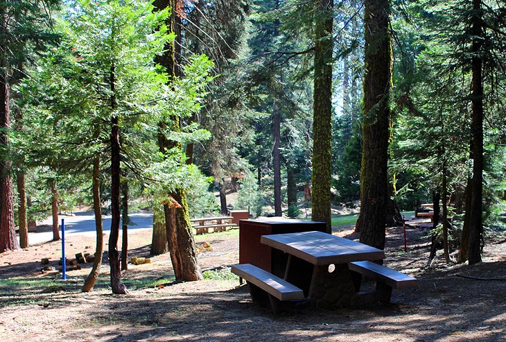 9 mejores campamentos en el Parque Nacional Kings Canyon, CA