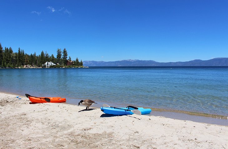 9 mejores campamentos en South Lake Tahoe, CA