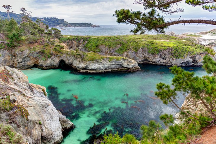 Point Lobos State Natural Reserve