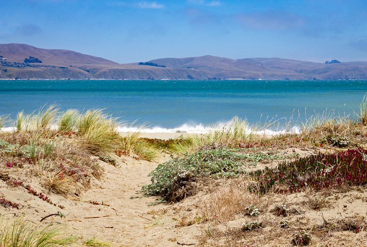 Bodega Dunes