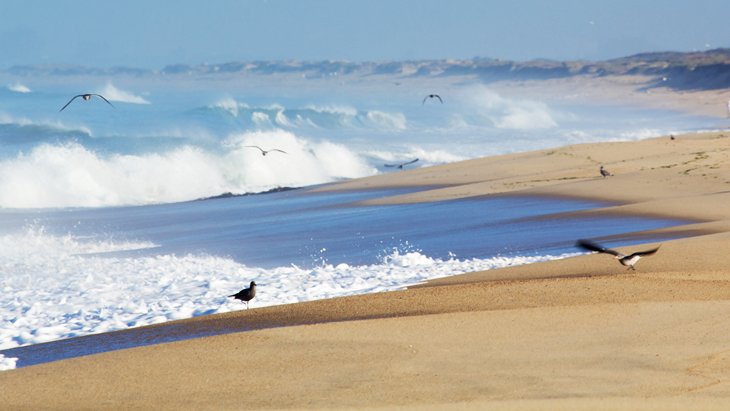 Monterey State Beach