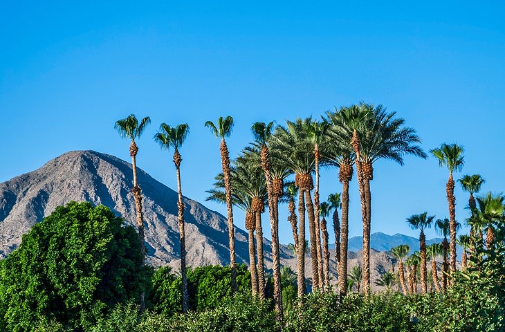 View to the San Jacinto Mountains in Palm Springs