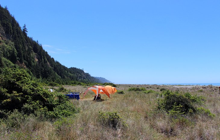 Gold Bluffs Beach Campground