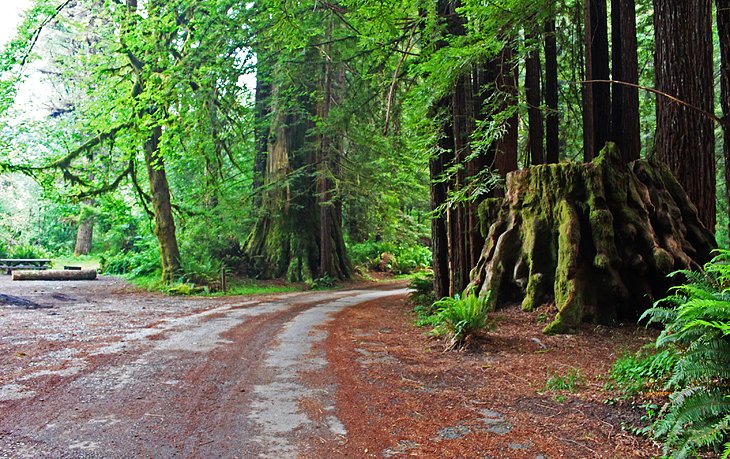 Mill Creek Campground