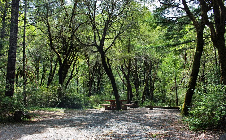 Grassy Flats Campground