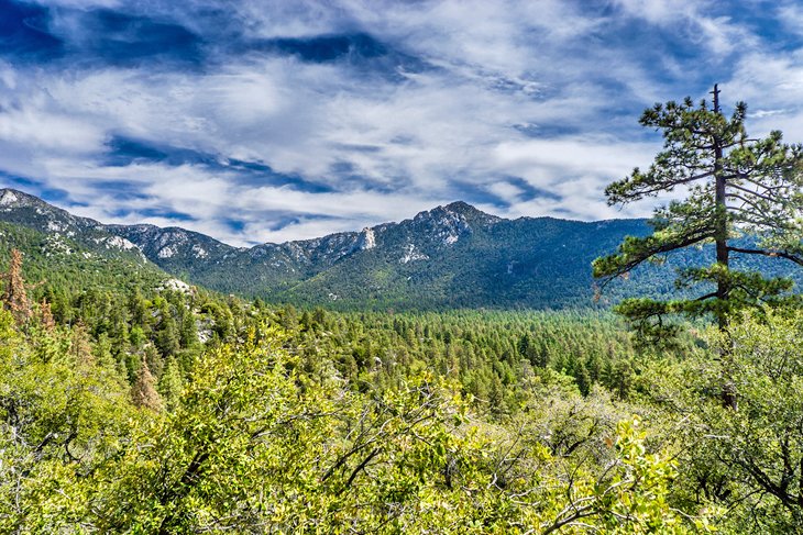 Idyllwild