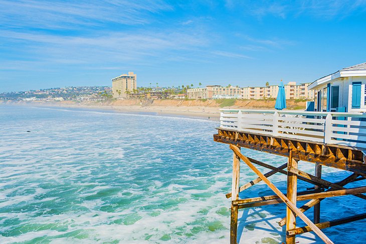 what beaches allow dogs in san diego