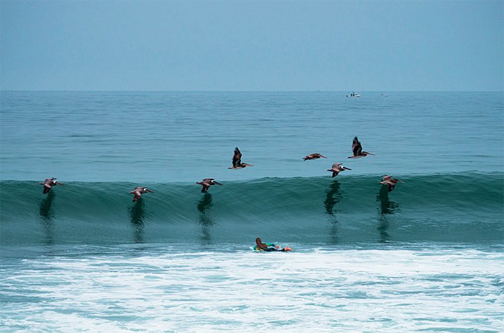 San Onofre Surf Beach