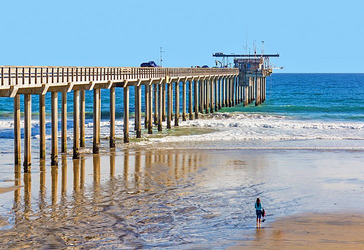 Scripps Beach