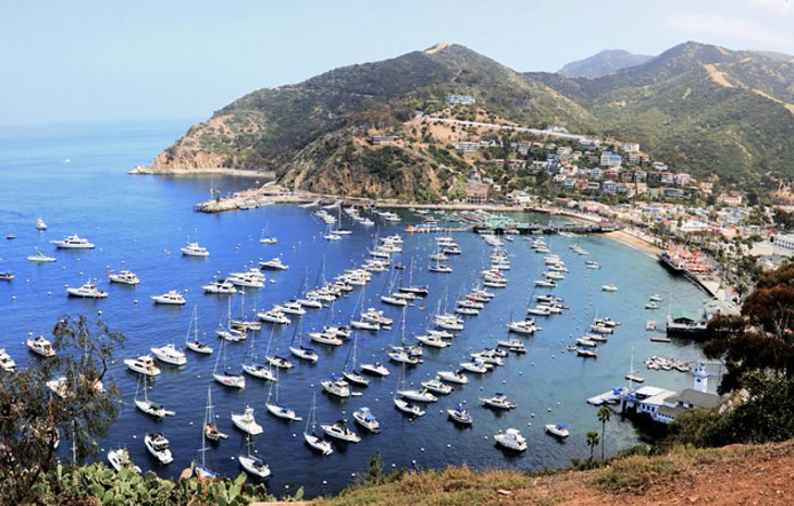 Santa Catalina Island