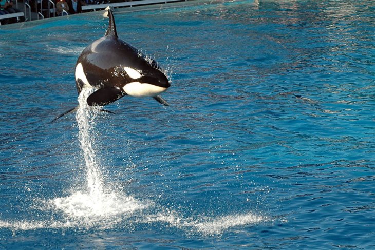 SeaWorld San Diego