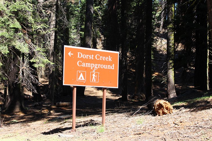 Dorst Creek Campground