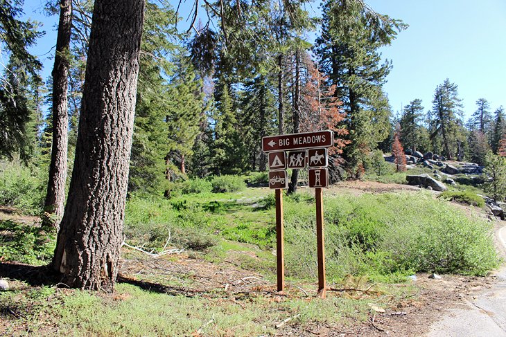 6 mejores campings en el Parque Nacional Sequoia