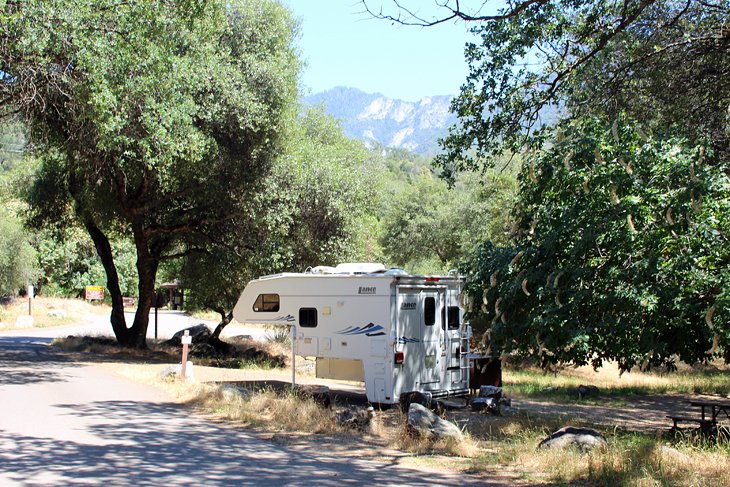 6 mejores campings en el Parque Nacional Sequoia