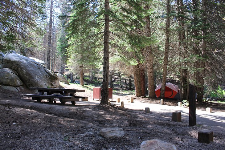 6 mejores campings en el Parque Nacional Sequoia