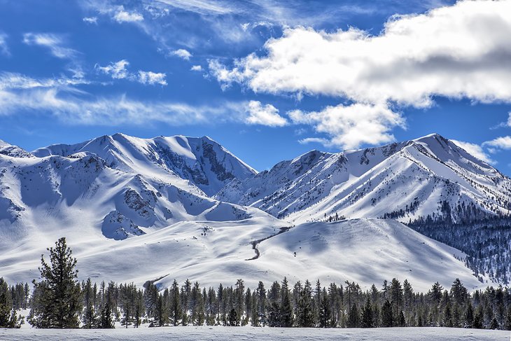 Mammoth Mountain Ski Area