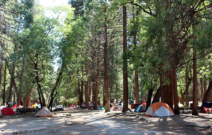 10 mejores campamentos en el Parque Nacional Yosemite