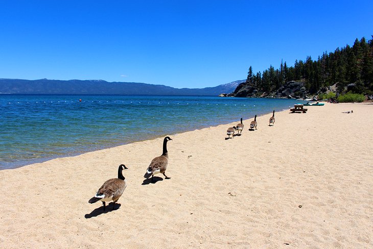 Lake Tahoe