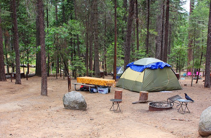 10 mejores campamentos en el Parque Nacional Yosemite