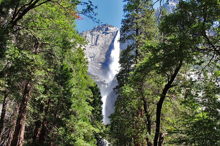 Lower Yosemite Falls Trail