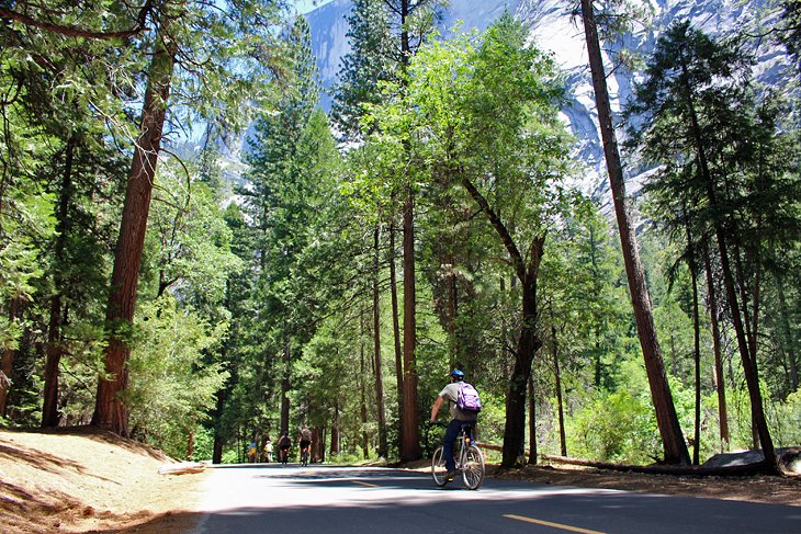 Road to Mirror Lake