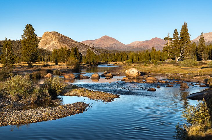 Tuolumne Meadows