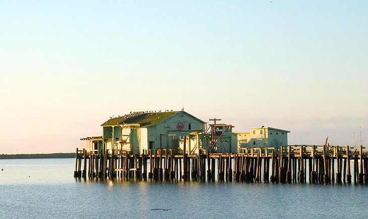 Pillar Point Harbor 