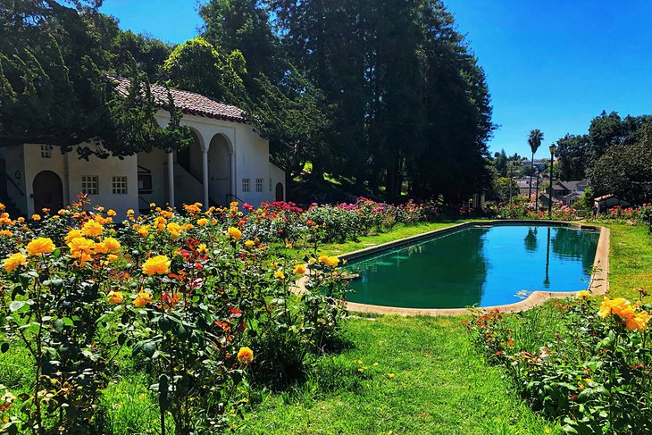 Oakland Rose Garden