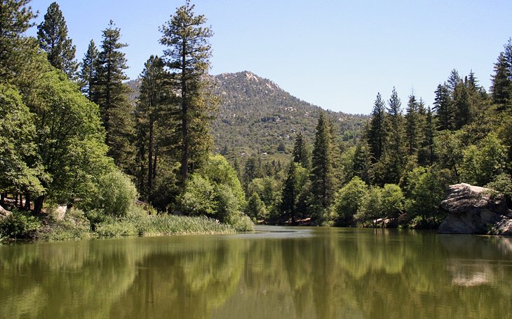 Lake Fulmore, Idyllwild