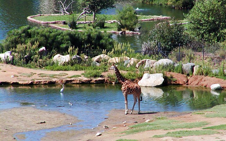 Safari Park