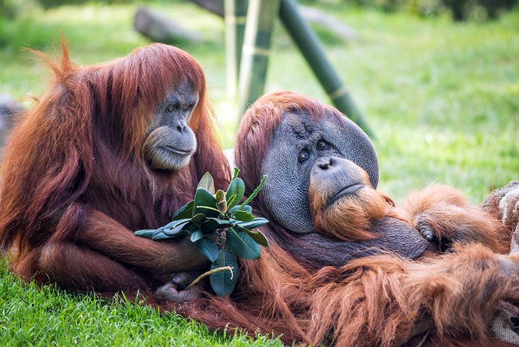 San Diego with Kids: 11 Top Things to Do | PlanetWare