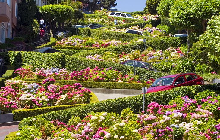 Lombard Street: The Crookedest Road