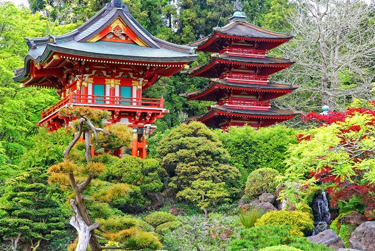 Japanese Tea Garden in Golden Gate Park