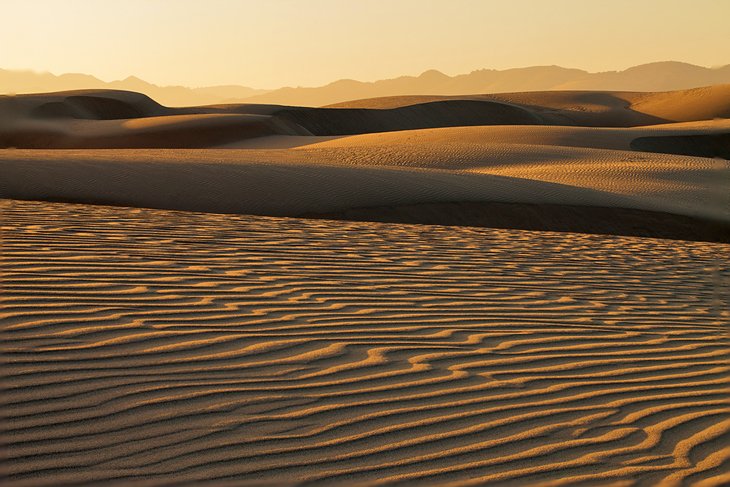 Guadalupe-Nipomo Dunes Preserve