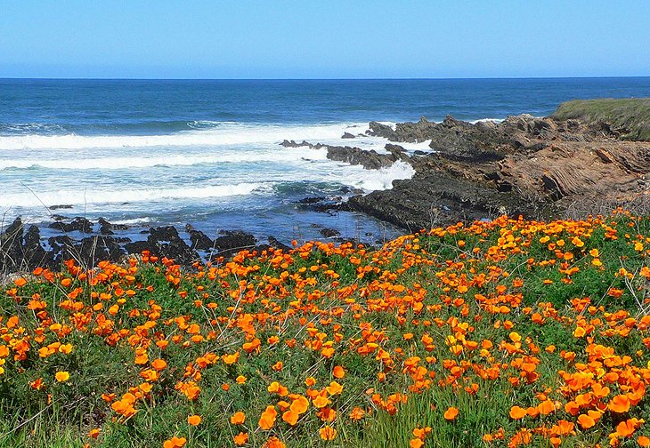 Montaña de Oro State Park