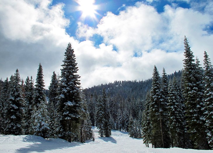 8 estaciones de esquí mejor calificadas en Lake Tahoe