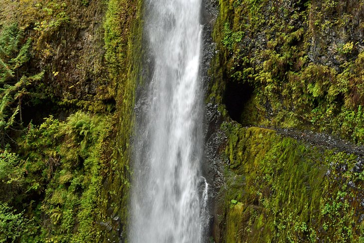 The impressive Tunnel Falls on the Eagle Creek Alternate