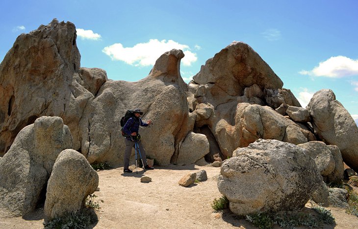 12 mejores caminatas de un día en el sendero Pacific Crest