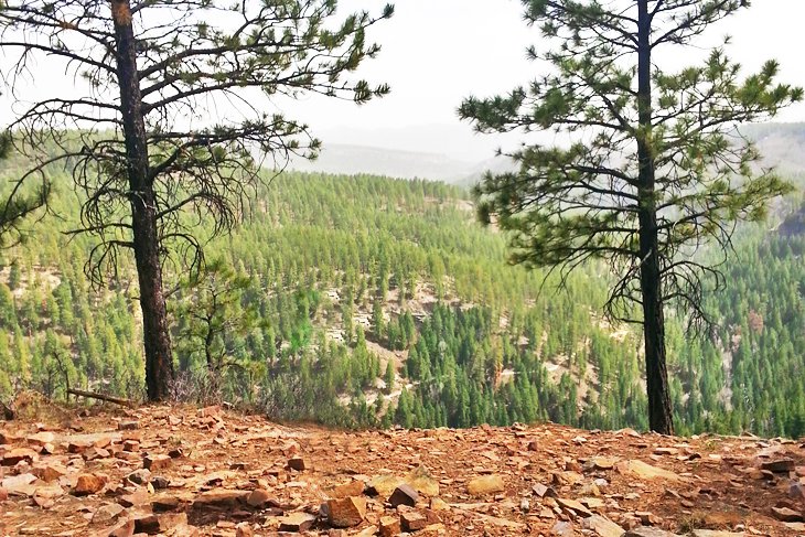 Hike along the Colorado Trail