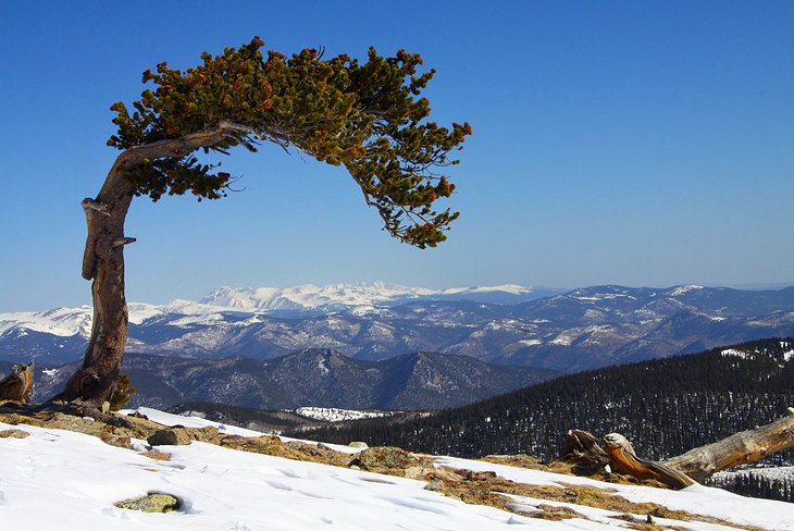 Mount Evans