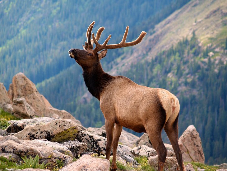 Rocky Mountain National Park