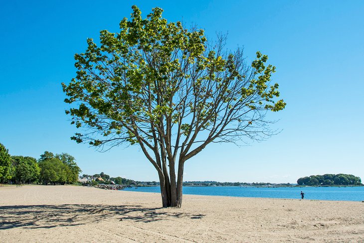 12 playas mejor valoradas en Connecticut 12 playas mejor valoradas en Connecticut