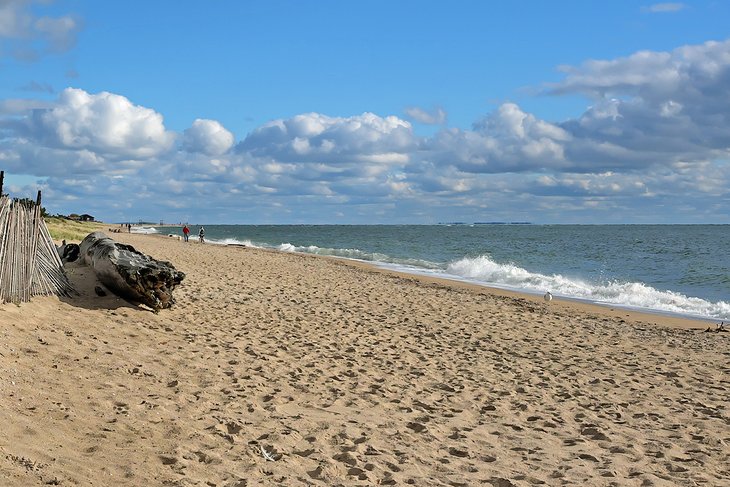 12 playas mejor valoradas en Connecticut