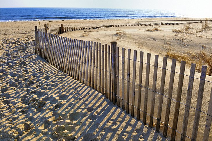 Lewes Beach