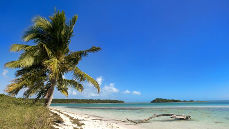 Bahia Honda