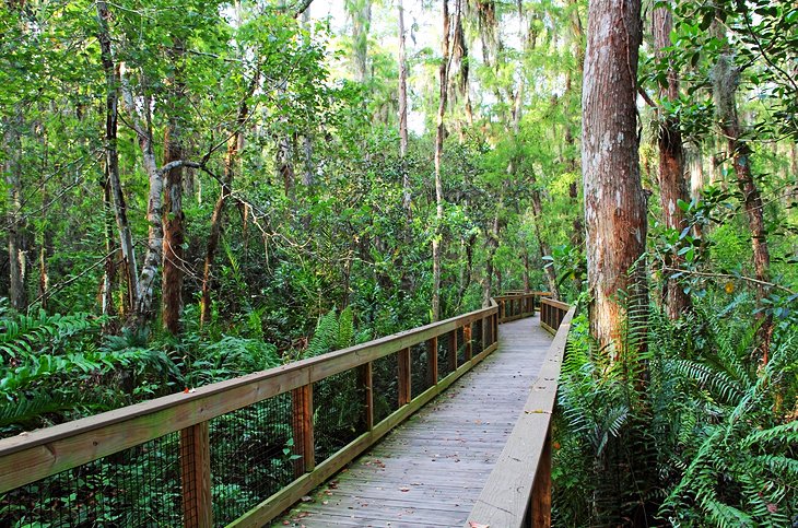 Loxahatchee National Wildlife Refuge