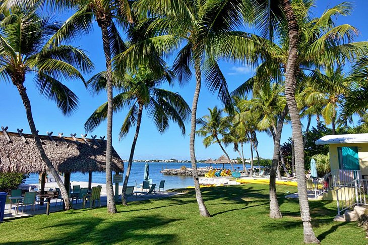 Bay Harbor Lodge & Coconut Bay Resort