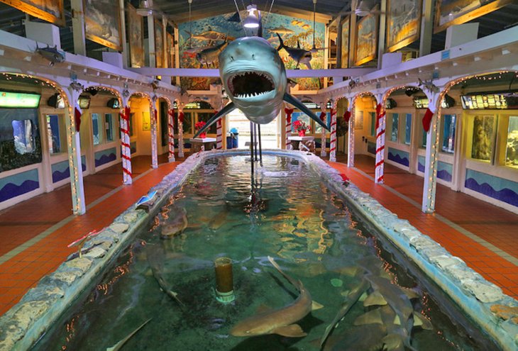 Aquarium de Key West