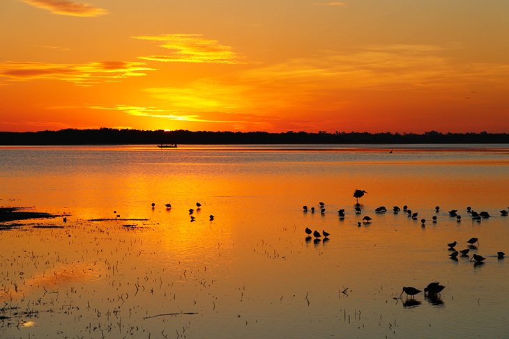 Myakka River State Park at sunset